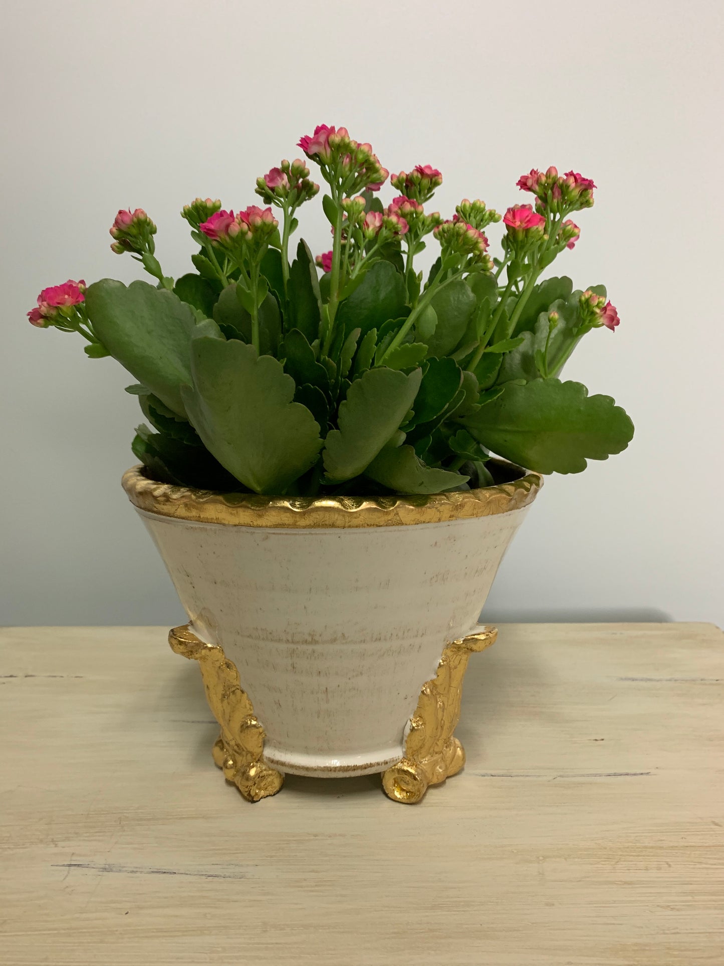 Roma Gold Acanthus Compote