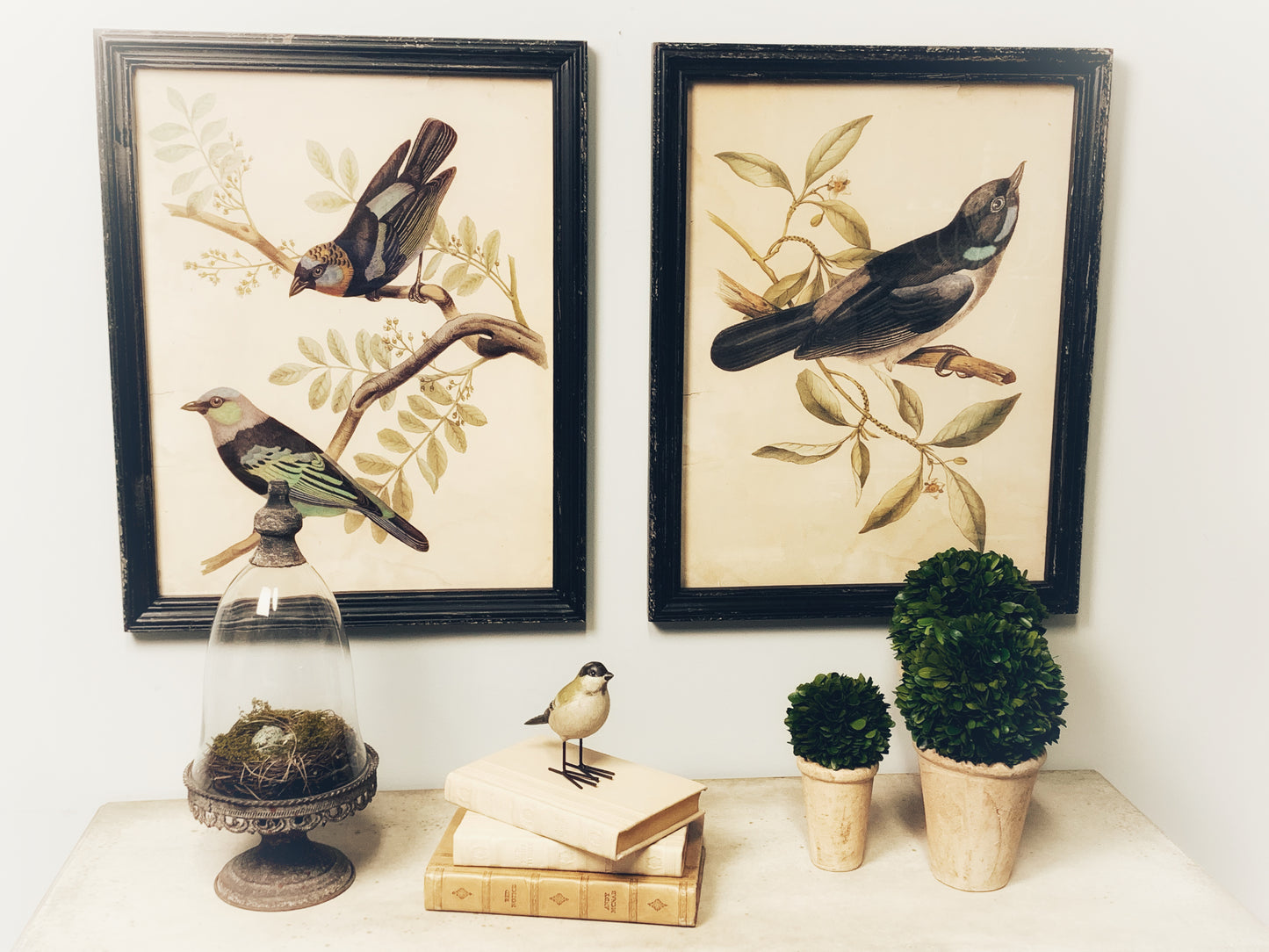 Framed Wall Decor with Birds