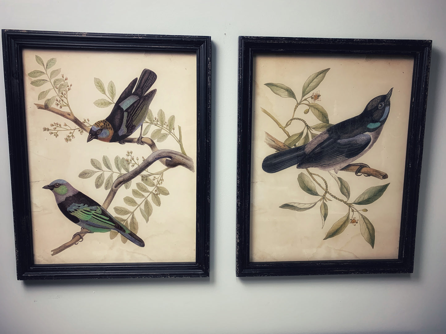 Framed Wall Decor with Birds