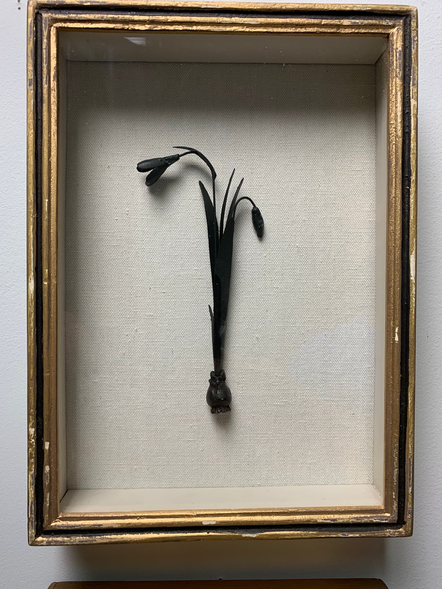 Framed Snow Drop