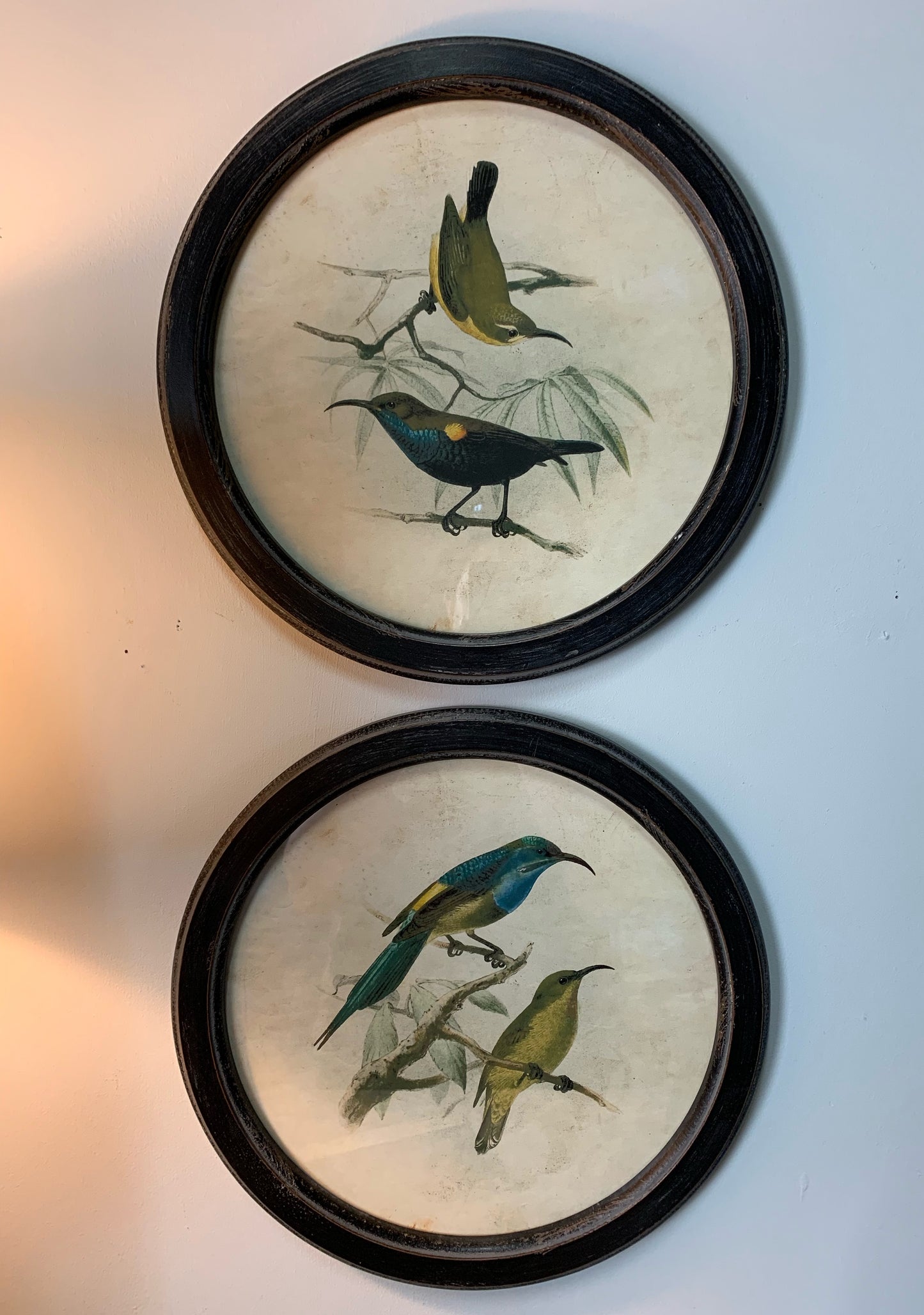 Bird Wall Decor