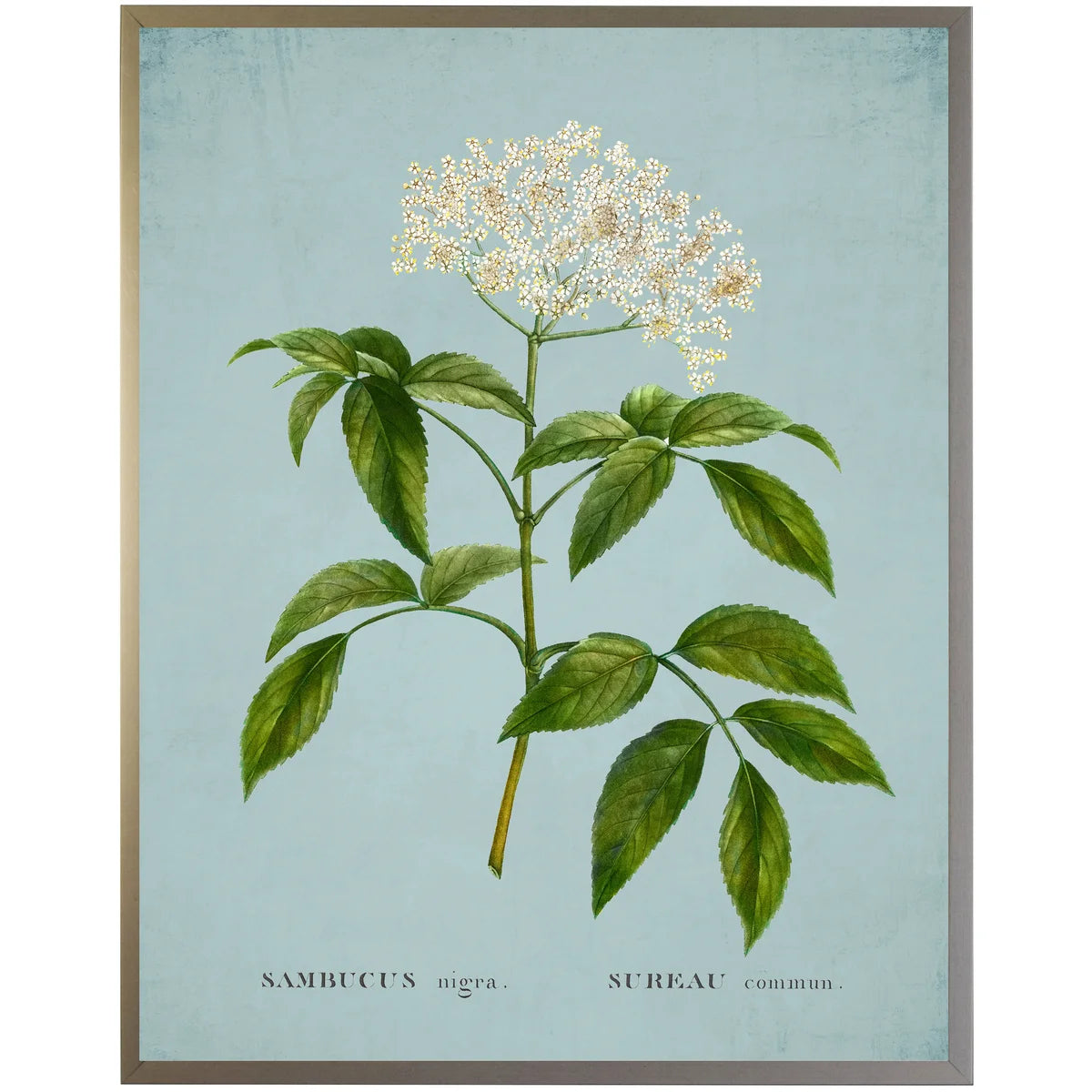 Surreau White Flower on Spa Background