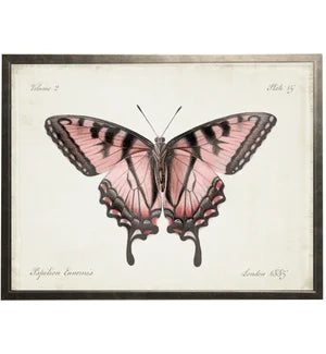 Plate 15 Pink Butterfly